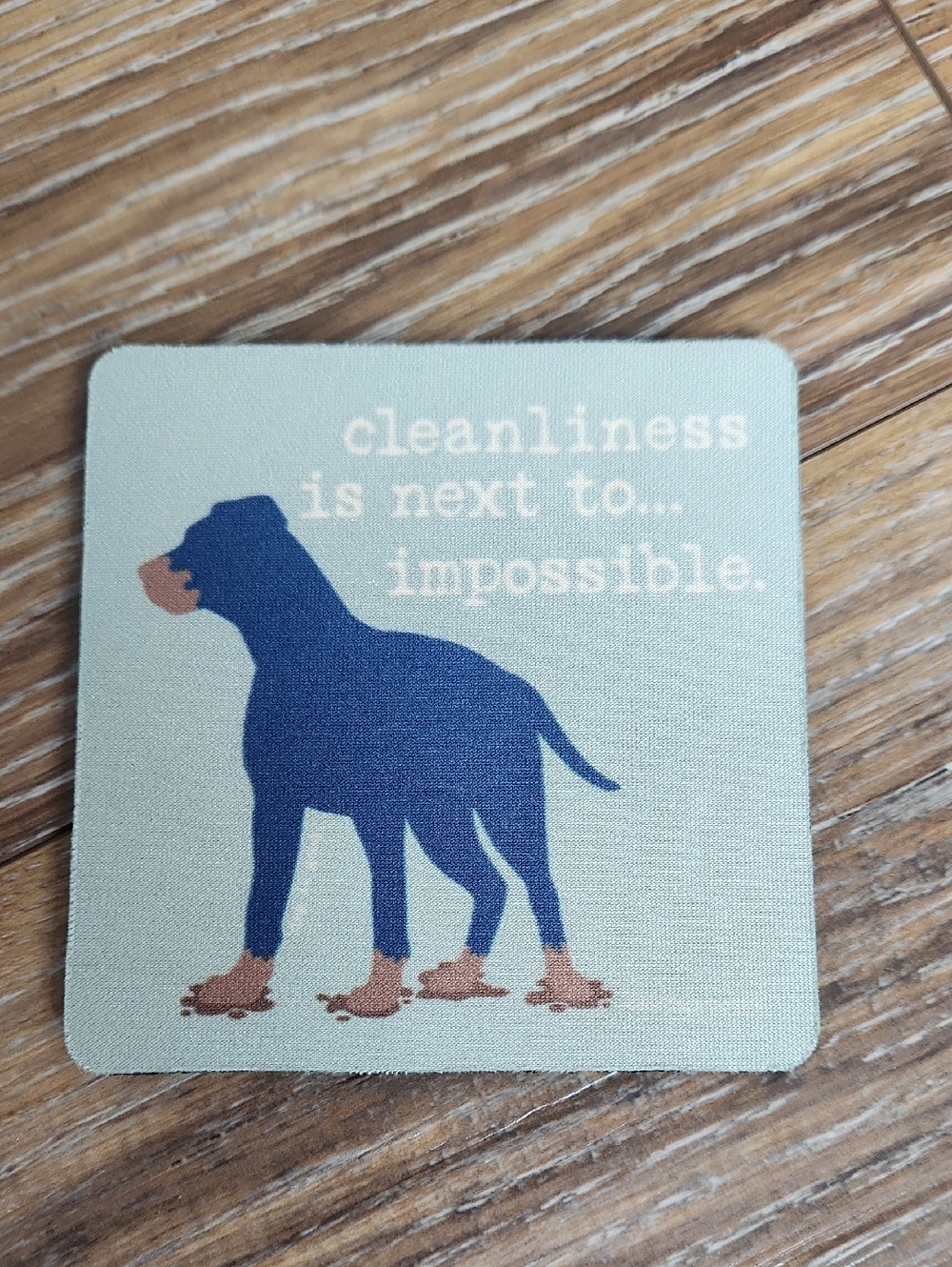NWOT Coaster Blue Black Muddy Dog Green